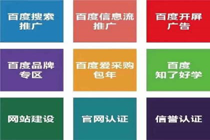 成功案例：sem竞价托管的智慧与策略