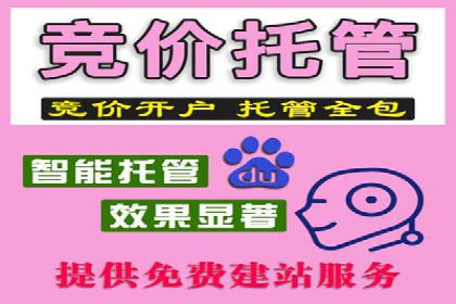竞价广告推广公司成功故事：一例互联网企业的崛起之路