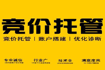 百度SEO优化公司案例详解：如何制定有效的推广计划